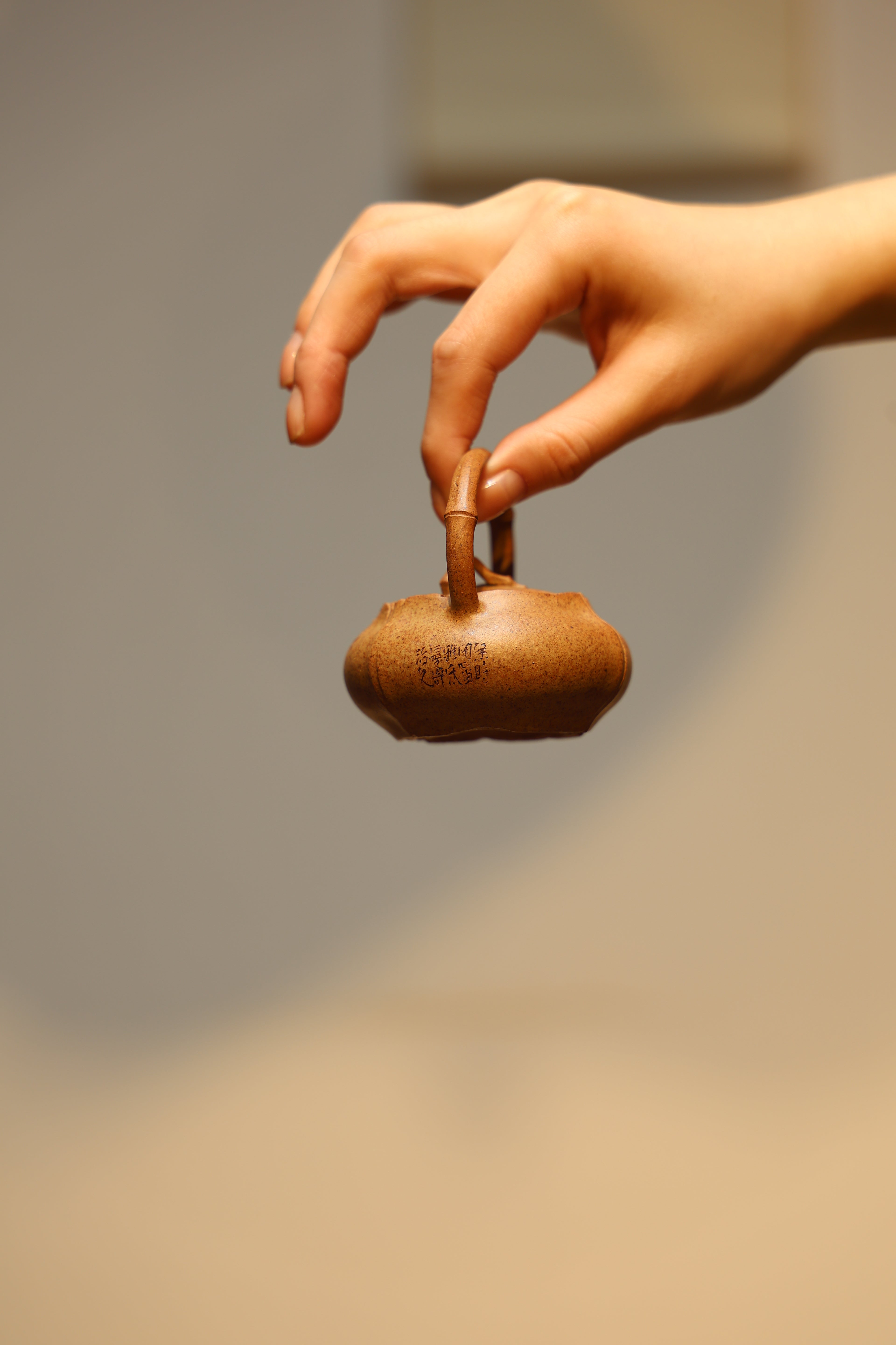 Handmade Yixing Zisha Teapot "Hua Yu Ti Liang" (Eclosion) | 化羽提梁 - 90ml