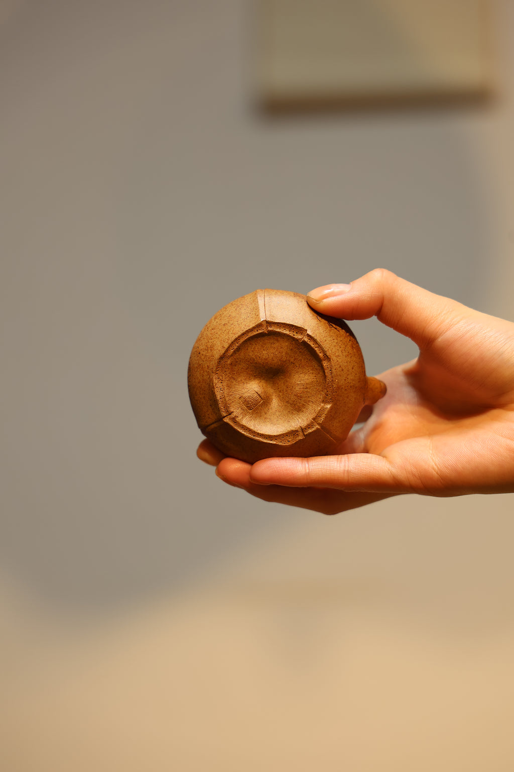 Handmade Yixing Zisha Teapot "Hua Yu Ti Liang" (Eclosion) | 化羽提梁 - 90ml