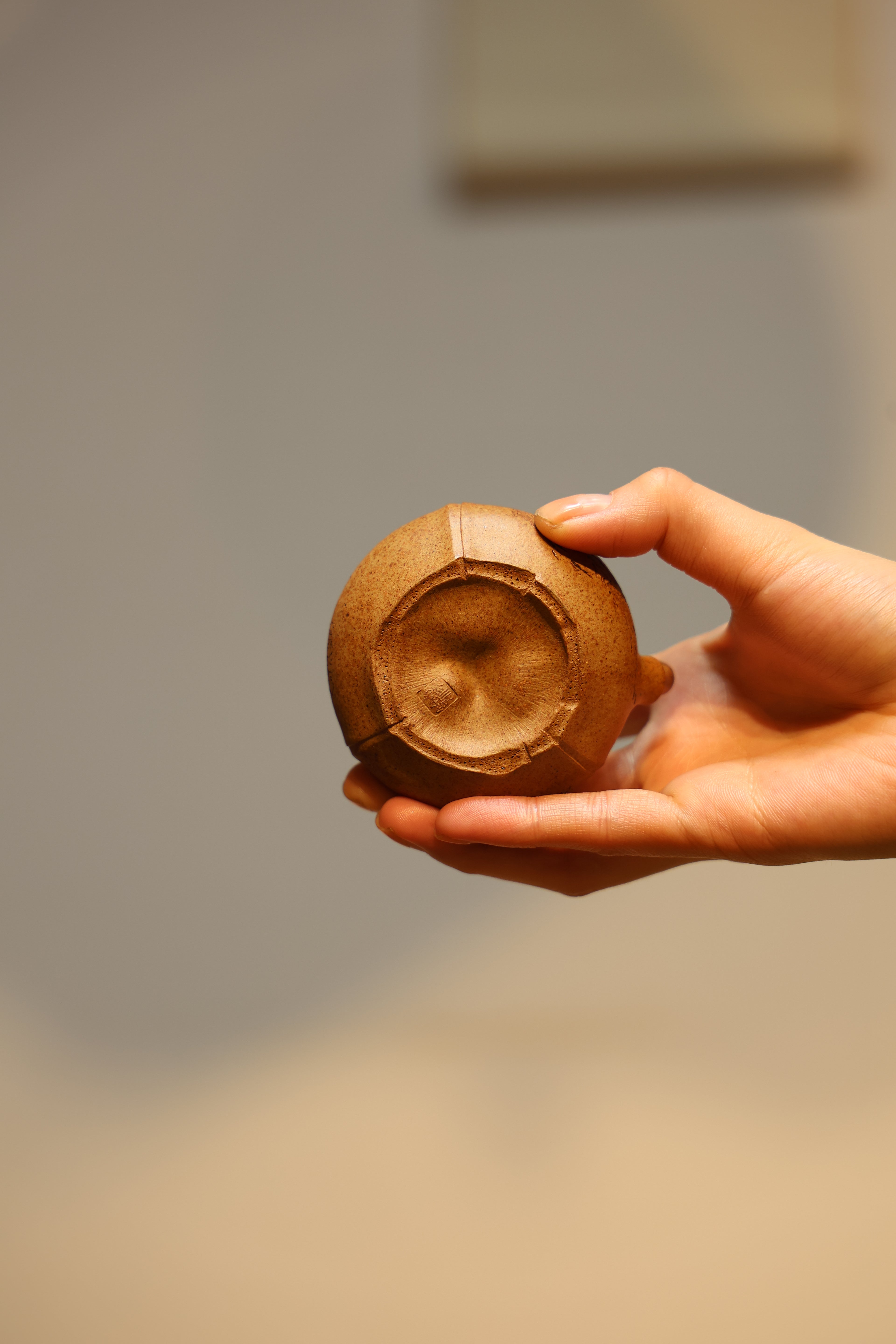 Handmade Yixing Zisha Teapot "Hua Yu Ti Liang" (Eclosion) | 化羽提梁 - 90ml