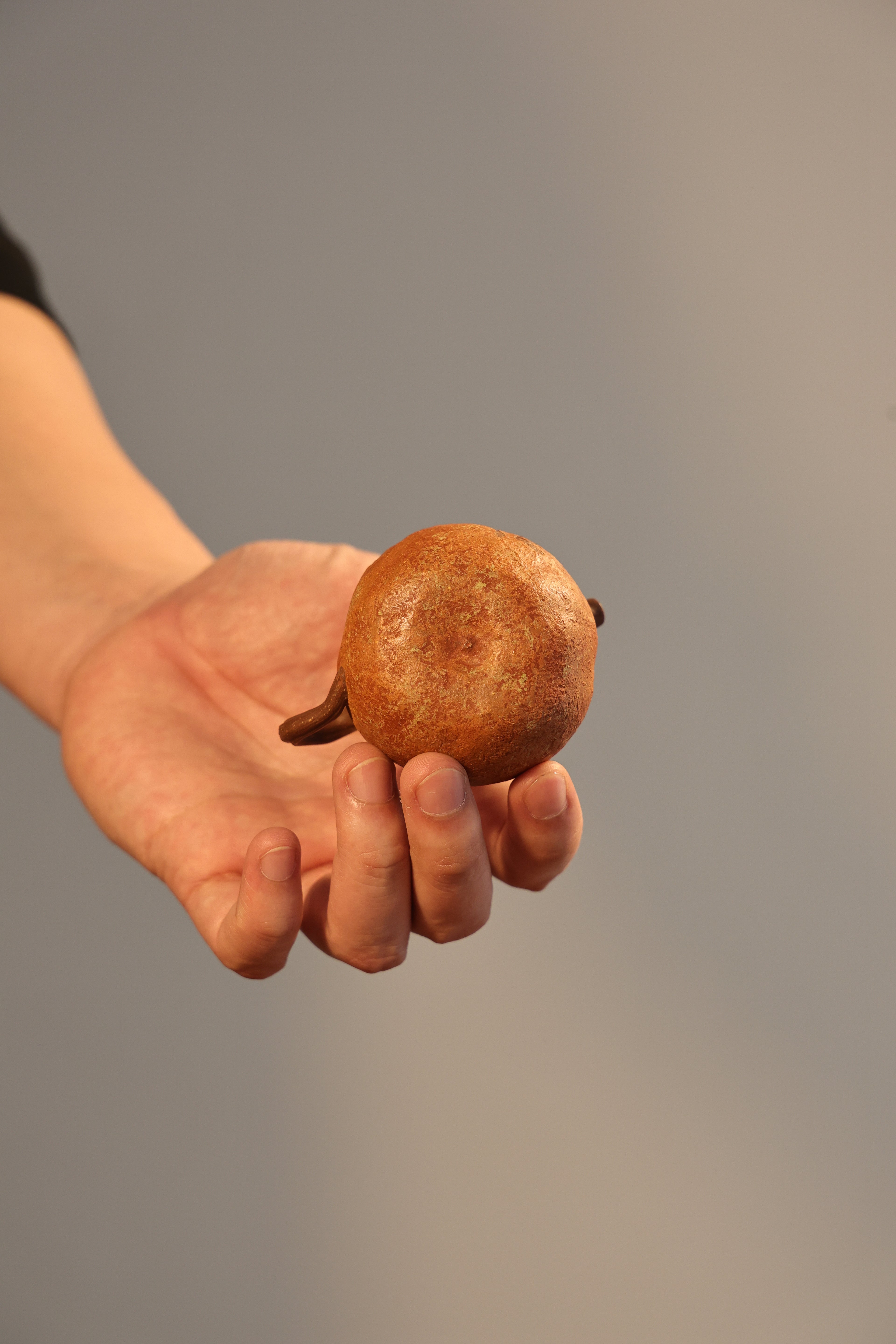 Handmade Yixing Zisha Teapot "Zi Zai Ye Ju"(Freedom Tangerine) | 自在野桔壶 - 91ml